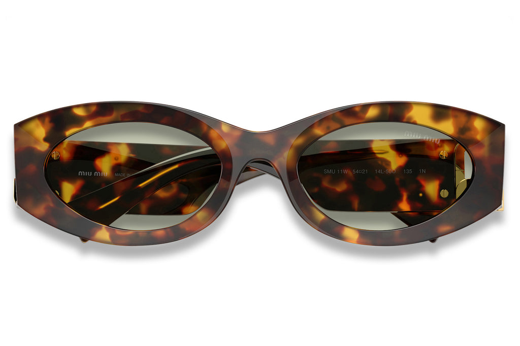 Miu Miu - MU 11WS Sunglasses Honey Havana with Light Green Lenses (14L50O)