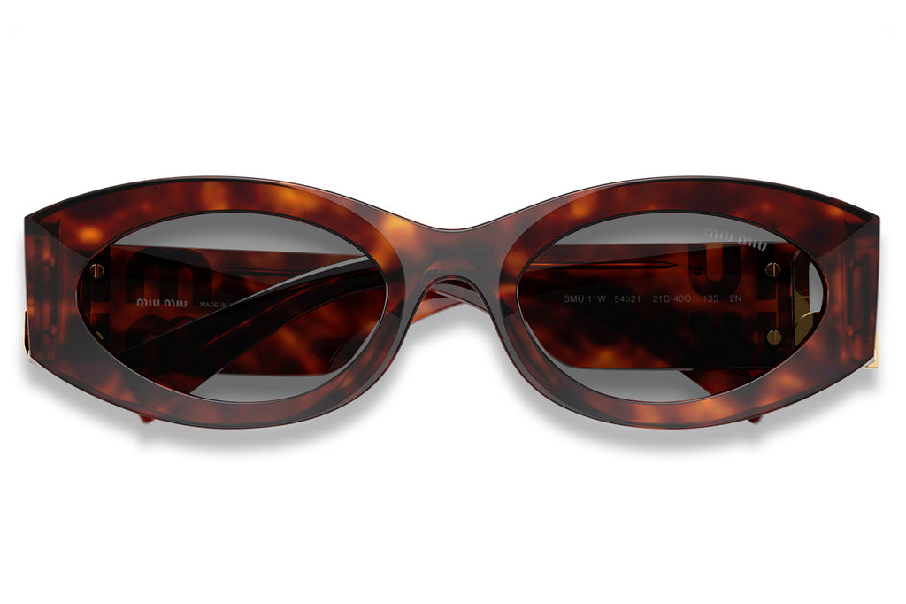 Miu Miu - MU 11WS Sunglasses Havana Mahogany with Grey Lenses (21C40O)