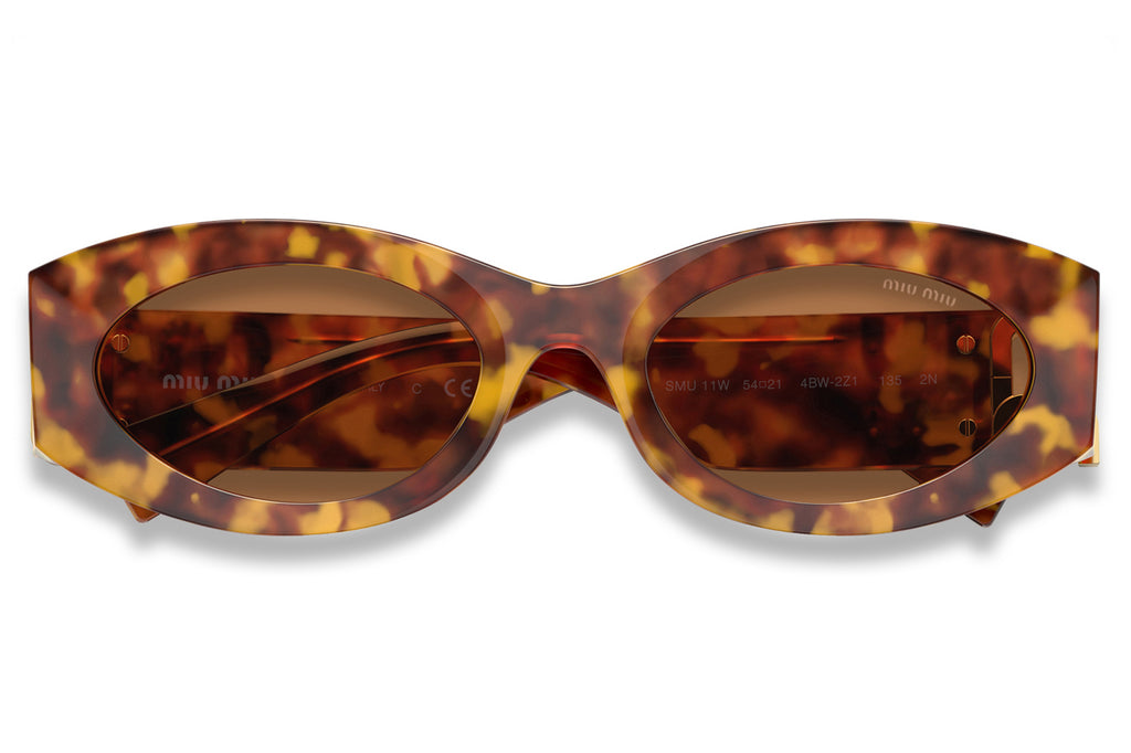 Miu Miu - MU 11WS Sunglasses Havana with Brown Lenses (4BW2Z1)
