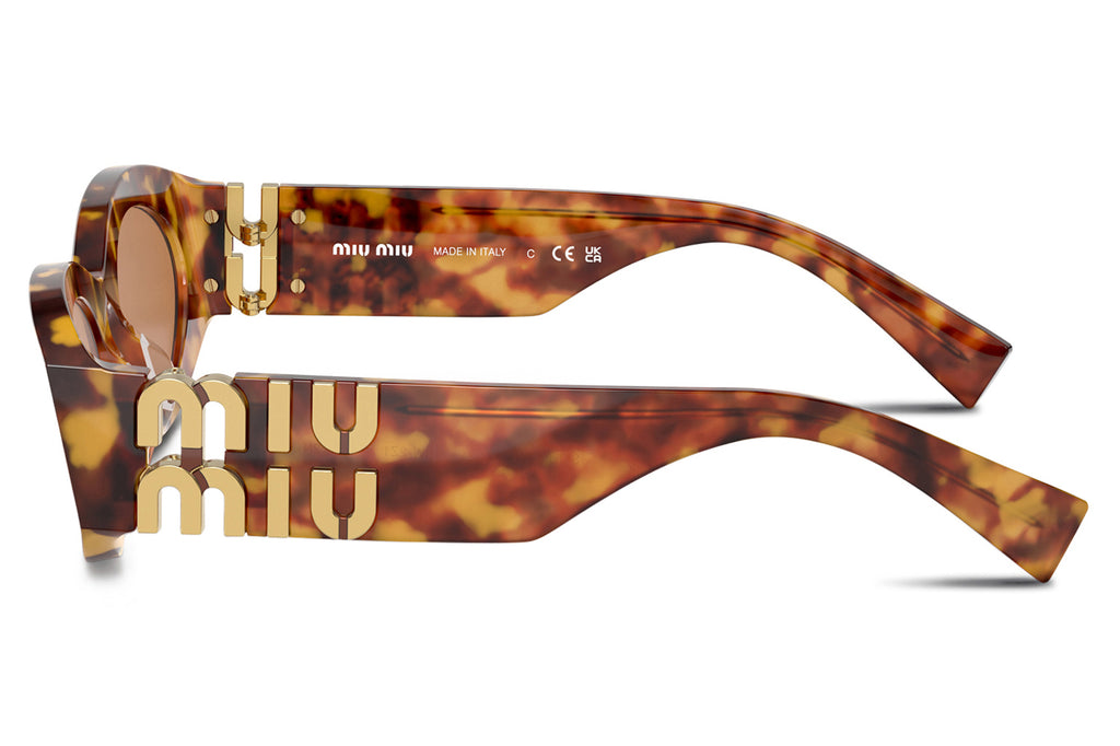 Miu Miu - MU 11WS Sunglasses Havana with Brown Lenses (4BW2Z1)