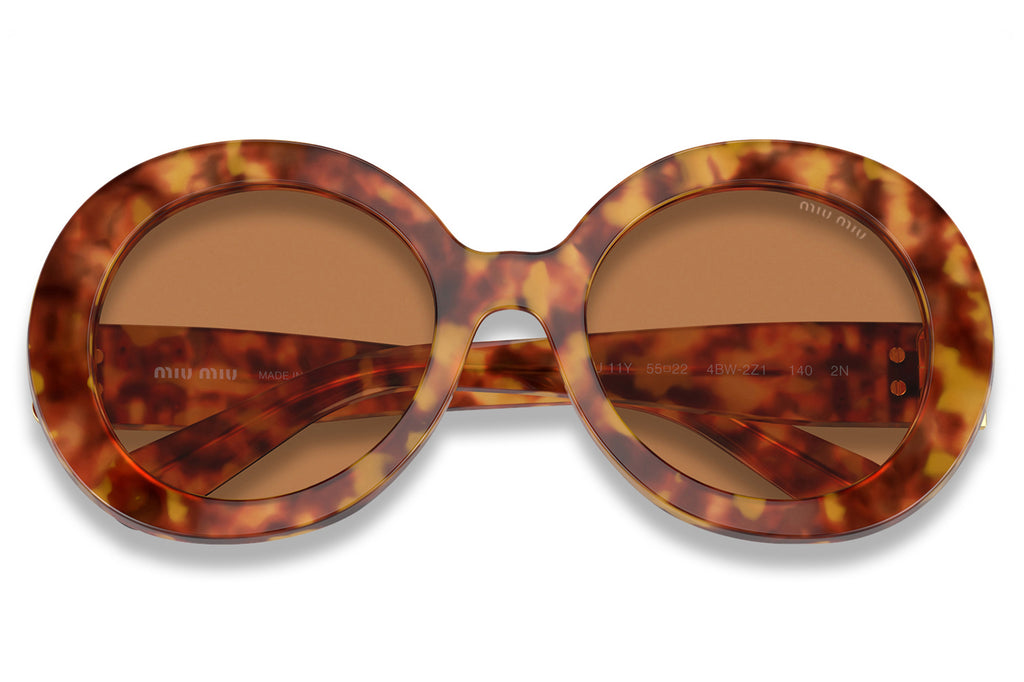 Miu Miu - MU 11YS Sunglasses Havana with Brown Lenses (4BW2Z1)
