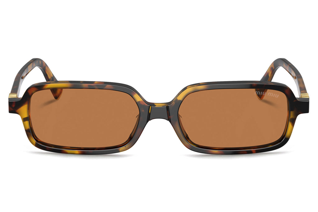 Miu Miu - MU 11ZSF (Low Bridge Fit) Sunglasses Honey Havana with Brown Lenses (VAU2Z1)