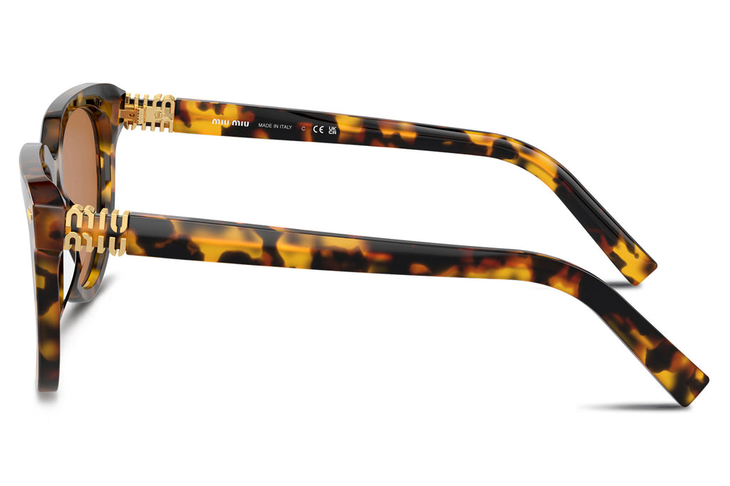 Miu Miu - MU 12ZS Sunglasses Honey Tortoise with Dark Brown Lenses (VAU01T)