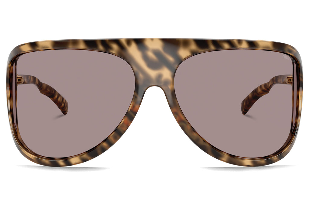 Miu Miu - MU A01S Sunglasses Havana with Light Purple Brown Lenses (11Z06I)