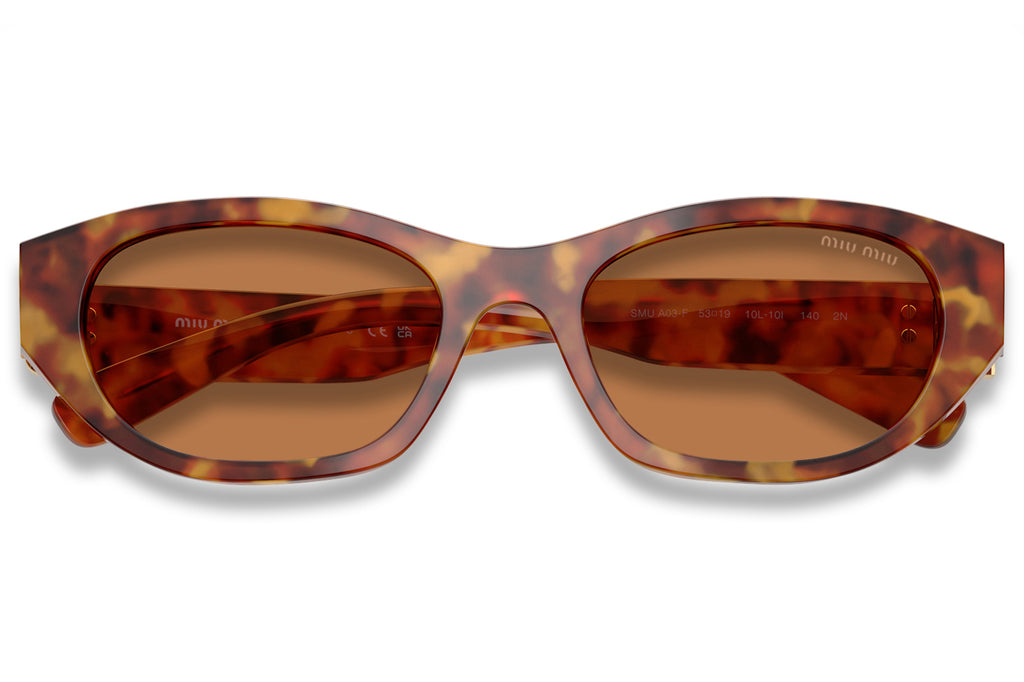 Miu Miu - MU A03SF (Low Bridge Fit) Sunglasses Light Havana with Brown Lenses (10L10I)