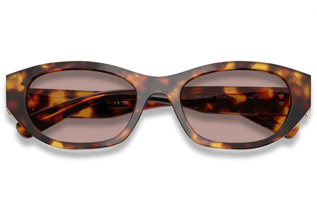 Miu Miu - MU A03SF (Low Bridge Fit) Sunglasses Honey Havana with Light Purple Brown Lenses (14L20I)