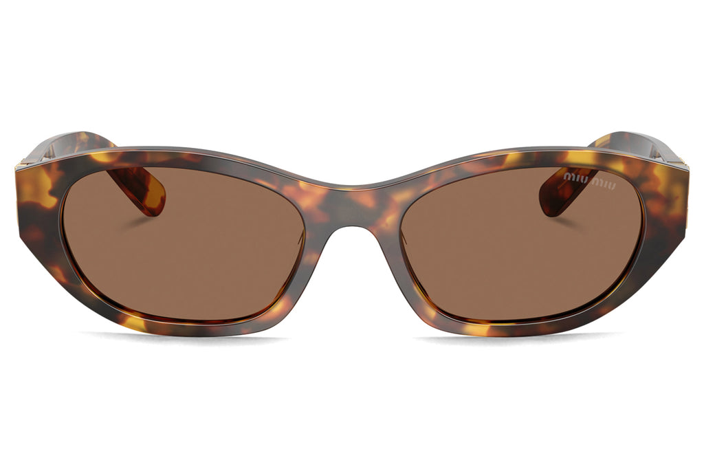 Miu Miu - MU A03SF (Low Bridge Fit) Sunglasses Honey Havana with Dark Brown Lenses (14L60M)