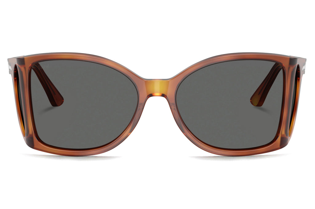Persol - PO0005 Sunglasses Terra Di Siena with Dark Grey Lenses (96/B1)