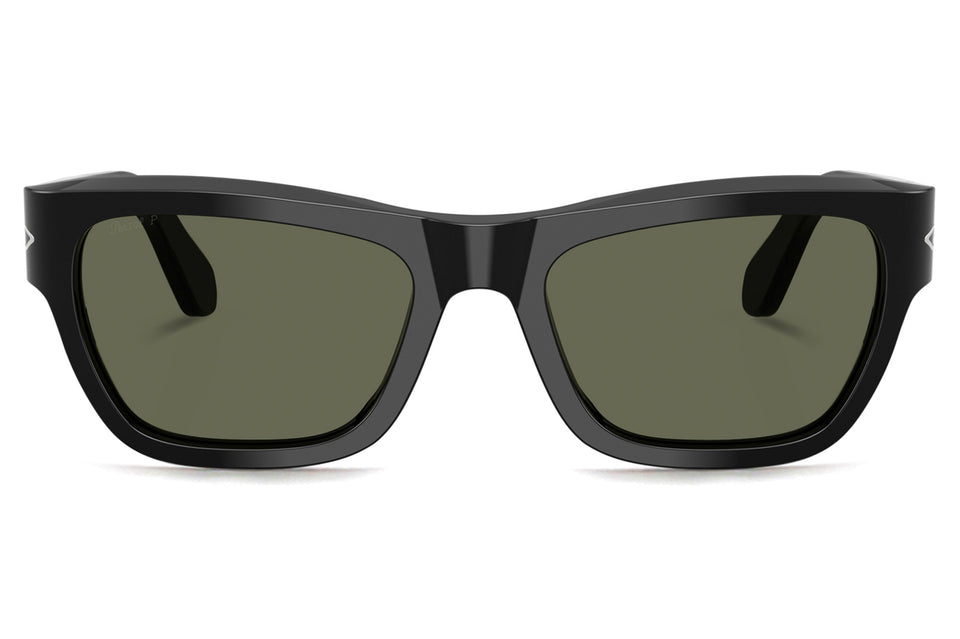 PO0091S