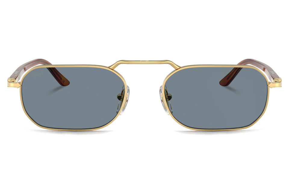 PO1020S