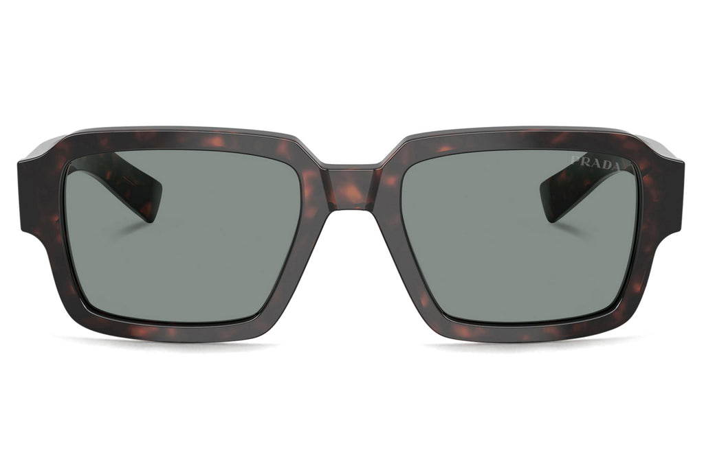 Prada - PR 02ZSF Sunglasses Root Tortoise with Blue Lenses (17N20N)