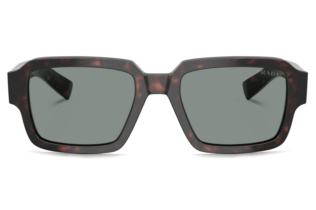 Prada - PR 02ZS Sunglasses Root Tortoise with Blue Lenses (17N20N)