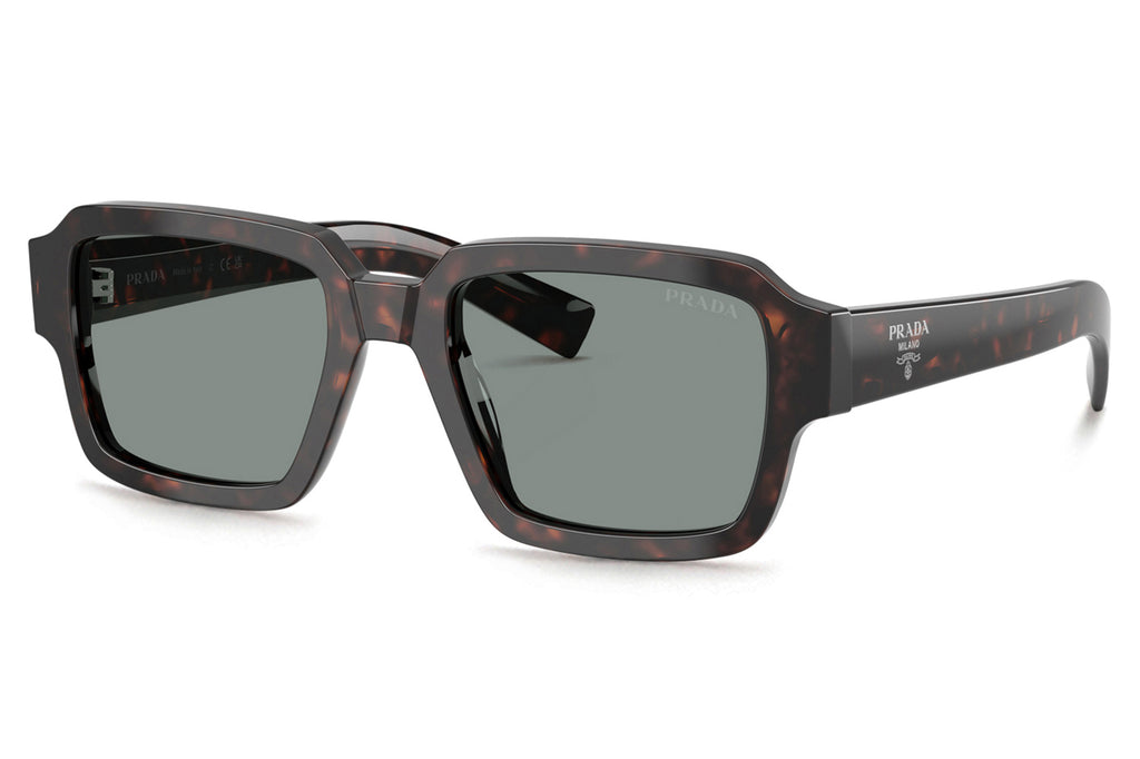 Prada - PR 02ZS Sunglasses Root Tortoise with Blue Lenses (17N20N)
