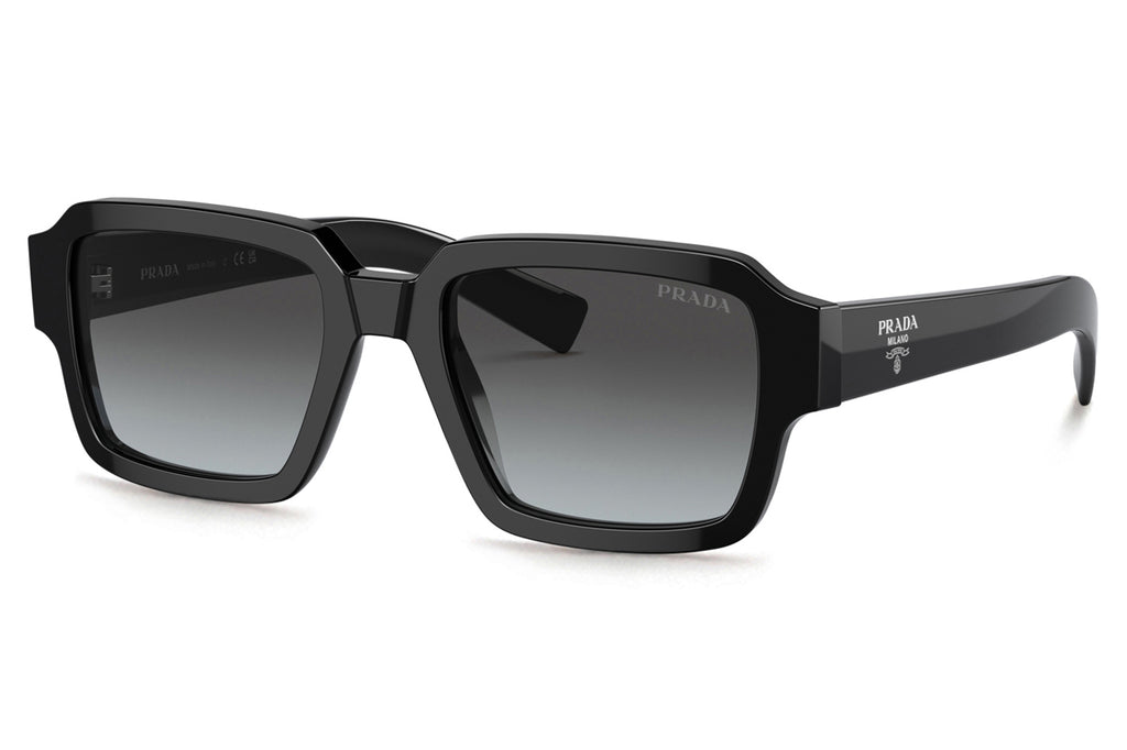 Prada - PR 02ZS Sunglasses Black with Graphite Sfumato Cristallo Lenses (1AB06T)
