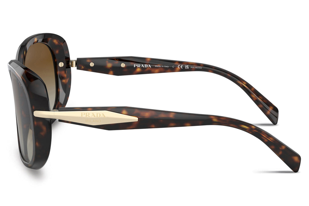 Prada - PR 04ZS Sunglasses Tortoise with Brown Gradient Polar Lenses (2AU6E1)