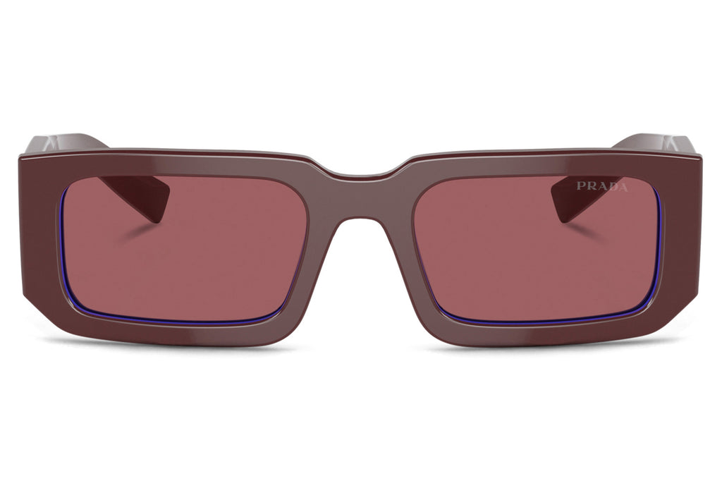 Prada - PR 06YS Sunglasses Etruscan/Blue with Dark Violet Lenses (16M08S)