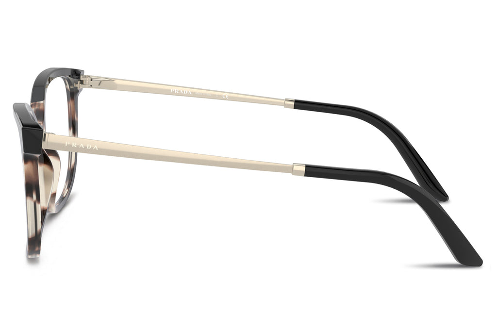 Prada - PR 07WV Eyeglasses Tortoise Talc/Black (3981O1)