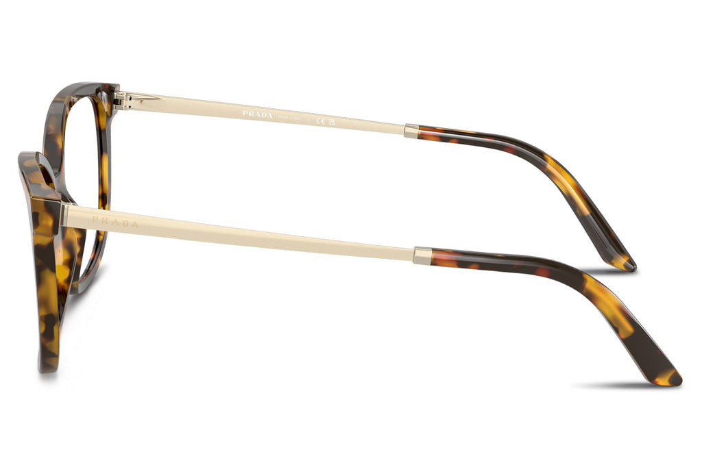 Prada - PR 07WV Eyeglasses Honey Tortoise (VAU1O1)