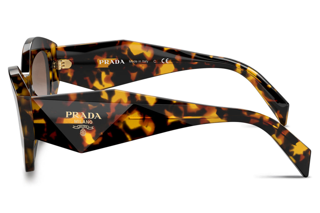 Prada - PR 07YS Sunglasses Honey Havana with Brown Gradient Lenses (VAU6S1)