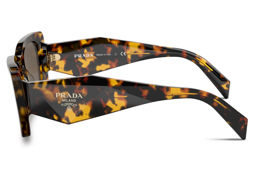 Prada - PR 08YS Sunglasses Havana Honey with Dark Brown Lenses (01V8C1)