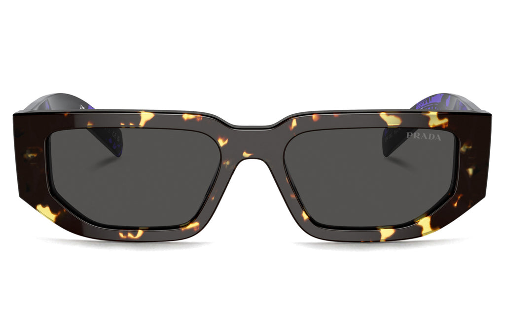 Prada - PR 09ZS Sunglasses Tortoise Black Malt with Dark Grey Lenses (16R5S0)