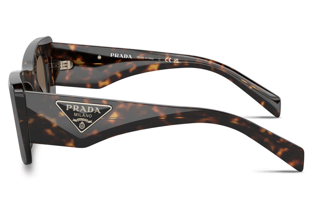 Prada - PR 13ZS Sunglasses Tortoise with Dark Brown Lenses (2AU06B)