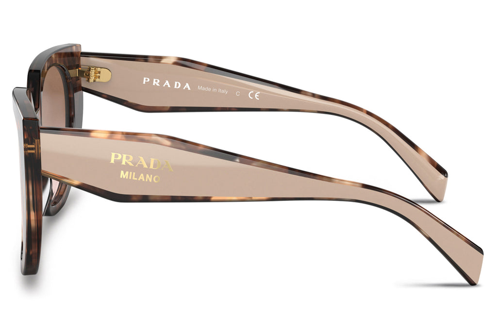 Prada - PR 14WSF (Low Bridge Fit) Sunglasses Caramel Tortoise/Powder with Brown Gradient (01R0A6)