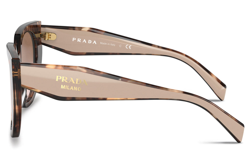 Prada - PR 14WS Sunglasses Caramel Tortoise/Powder with Brown Gradient Lenses (01R0A6)