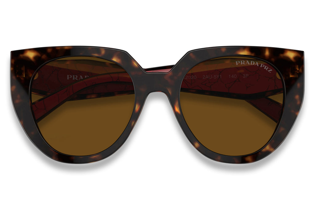 Prada - PR 14WS Sunglasses Tortoise with Dark Brown Polar Lenses (2AU5Y1)