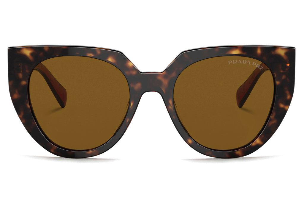 Prada - PR 14WS Sunglasses Tortoise with Dark Brown Polar Lenses (2AU5Y1)