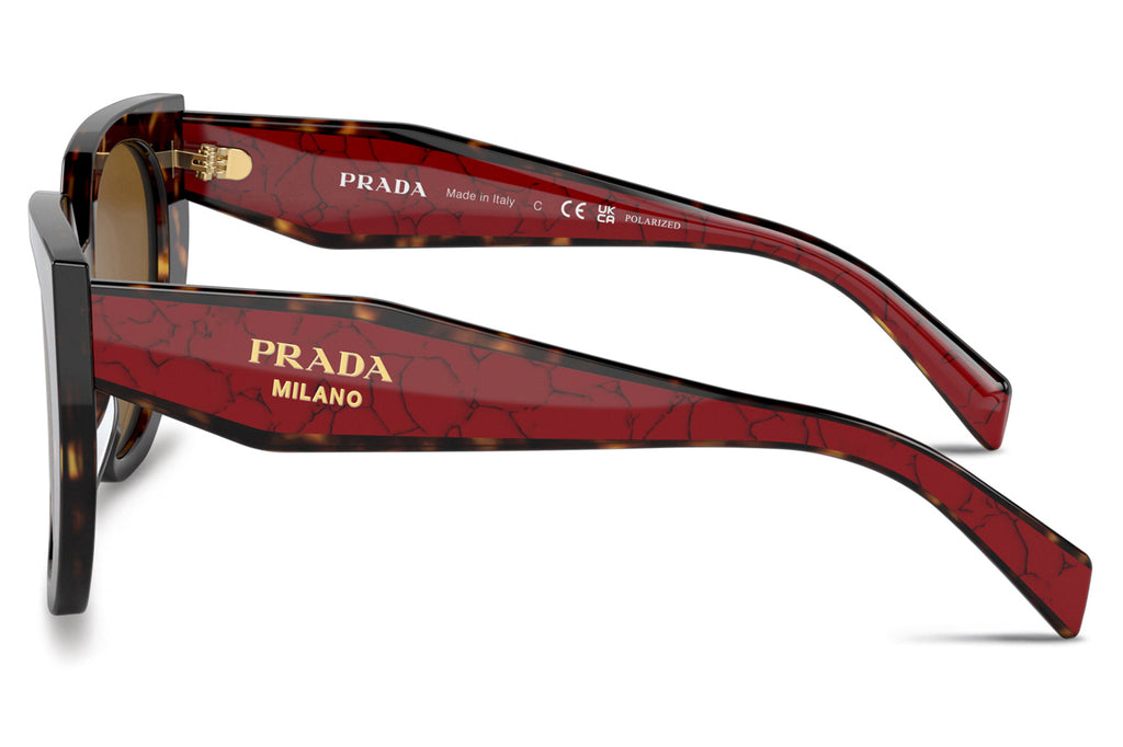 Prada - PR 14WS Sunglasses Tortoise with Dark Brown Polar Lenses (2AU5Y1)