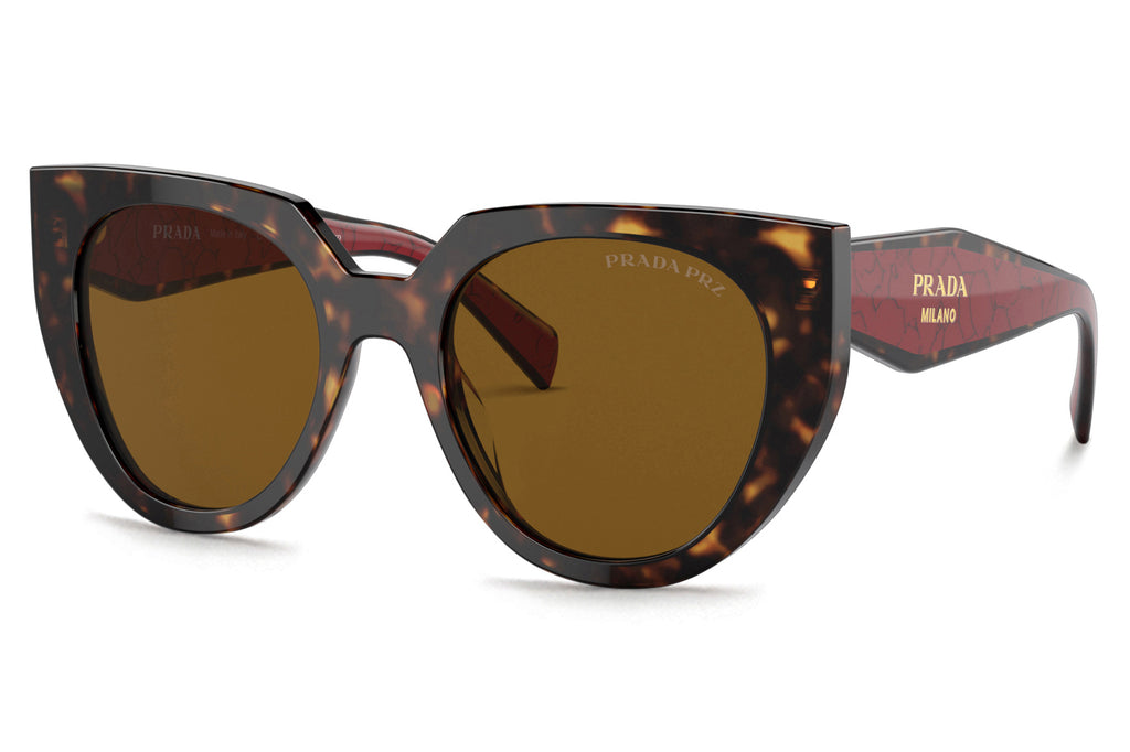 Prada - PR 14WS Sunglasses Tortoise with Dark Brown Polar Lenses (2AU5Y1)
