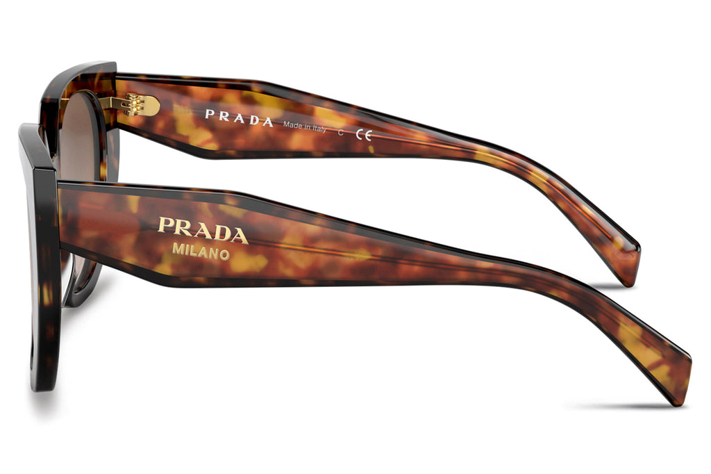 Prada - PR 14WS Sunglasses Tortoise with Brown Gradient Lenses (2AU6S1)
