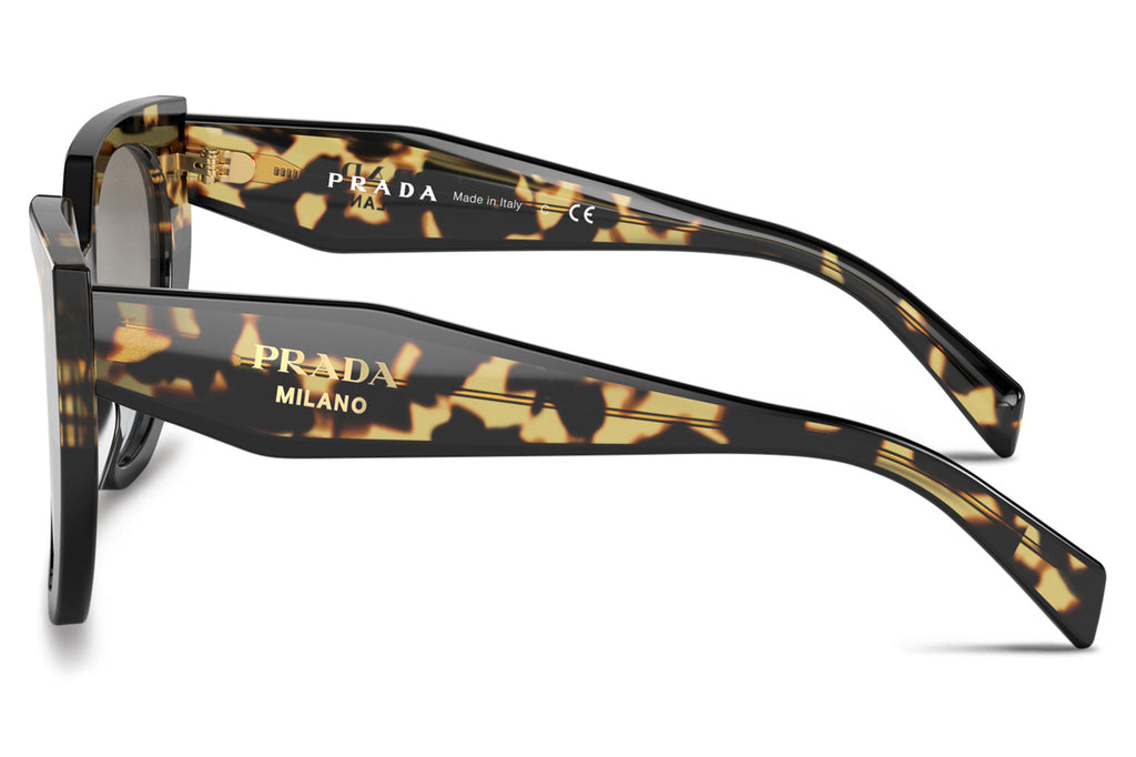Prada - PR 14WS Sunglasses Black/Tortoise with Grey Gradient Lenses (3890A7)