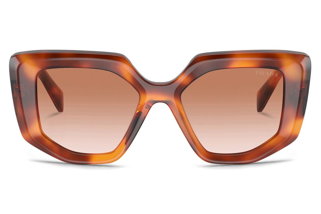Prada - PR 14ZS Sunglasses Cognac Tortoise with Brown Gradient Lenses (18R70E)