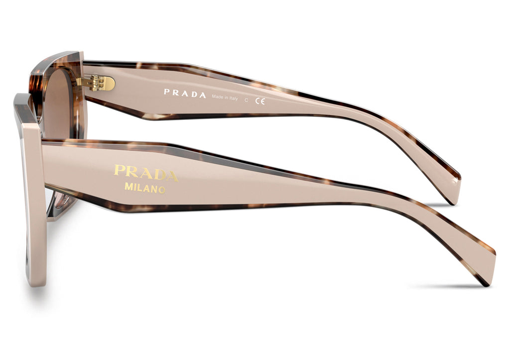 Prada - PR 15WSF (Low Bridge Fit) Sunglasses Tortoise Caramel/Powder with Brown Lenses (01R0A6)