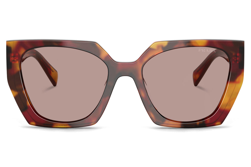 Prada - PR 15WSF (Low Bridge Fit) Sunglasses Poppy Tortoise with Light Purple Brown Lenses (22A20I)