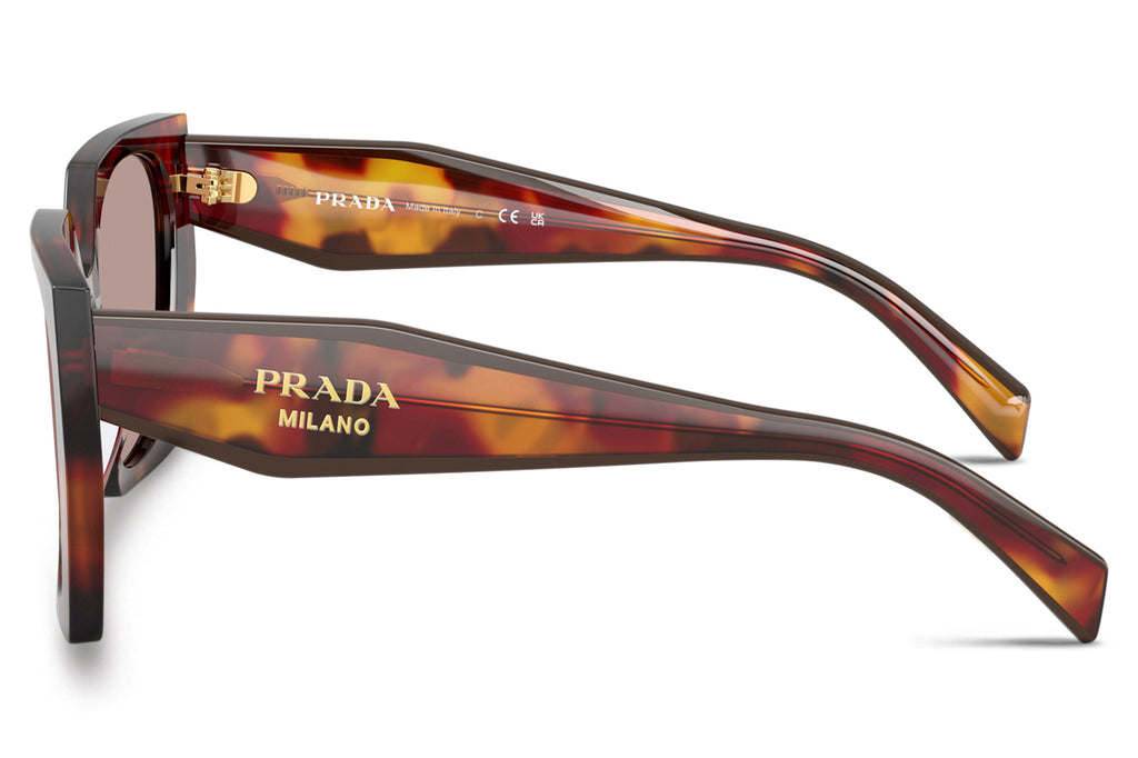 Prada - PR 15WSF (Low Bridge Fit) Sunglasses Poppy Tortoise with Light Purple Brown Lenses (22A20I)