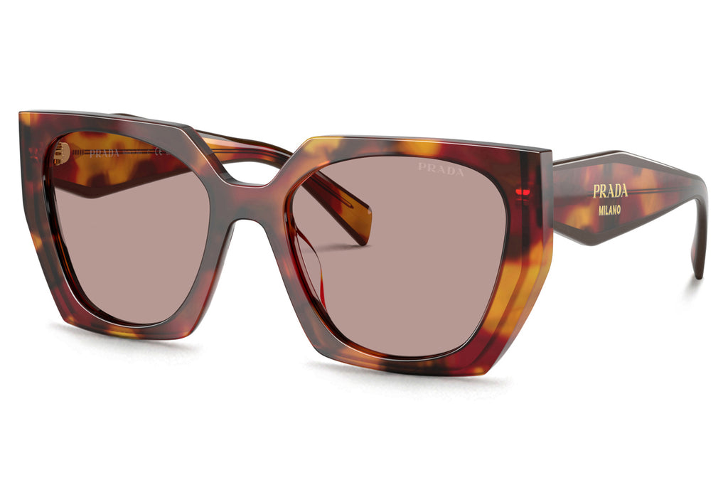 Prada - PR 15WSF (Low Bridge Fit) Sunglasses Poppy Tortoise with Light Purple Brown Lenses (22A20I)