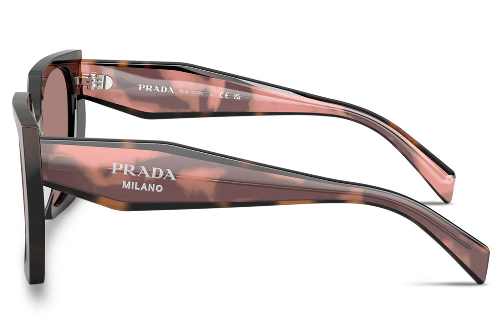 Prada - PR 15WSF (Low Bridge Fit) Sunglasses Mauve Tortoise with Light Brown Lenses (23A60B)