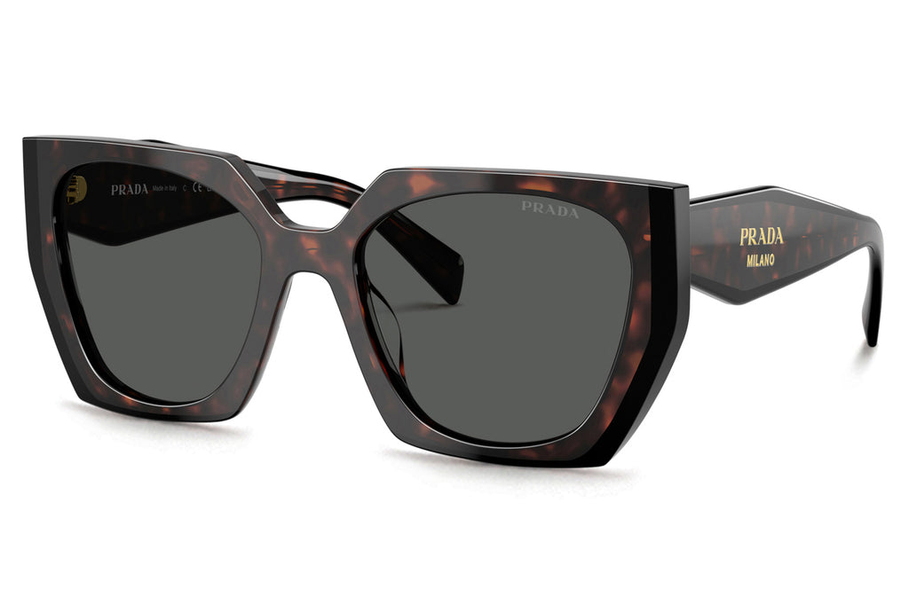 Prada - PR 15WSF (Low Bridge Fit) Sunglasses Root/Black with Dark Grey Lenses (24B40L)