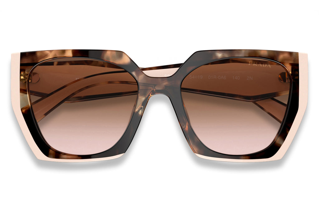 Prada - PR 15WS Sunglasses Tortoise Caramel/Powder with Brown Gradient Lenses (01R0A6)