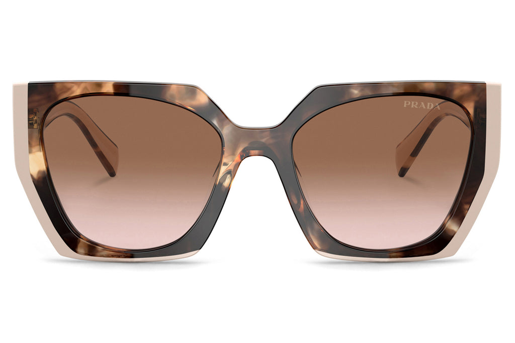 Prada - PR 15WS Sunglasses Tortoise Caramel/Powder with Brown Gradient Lenses (01R0A6)