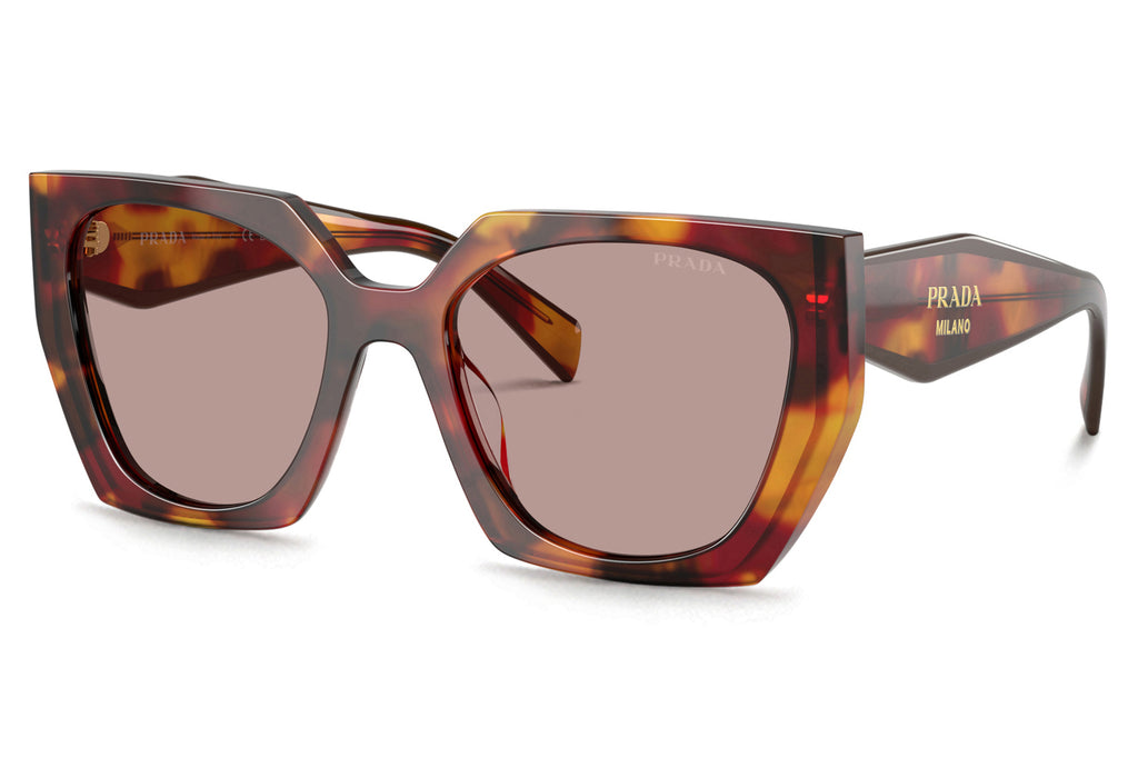 Prada - PR 15WS Sunglasses Poppy Tortoise with Light Purple Brown Lenses (22A20I)