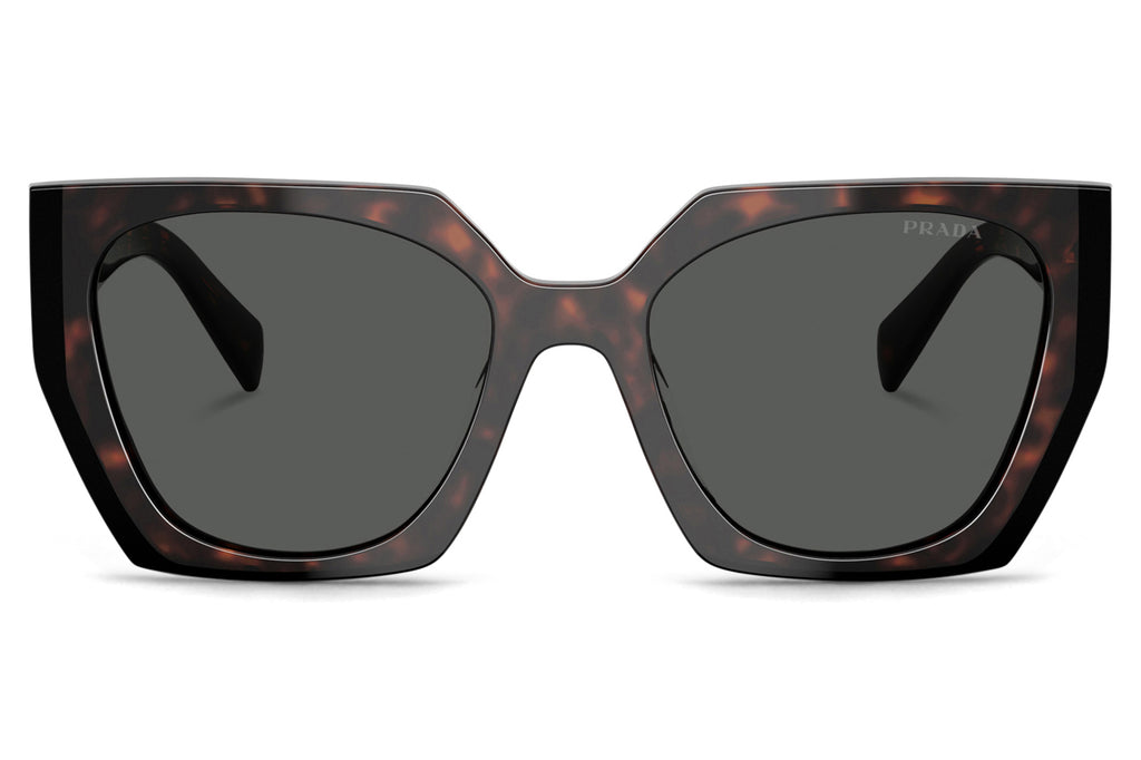 Prada - PR 15WS Sunglasses Root/Black with Dark Grey Lenses (24B40L)