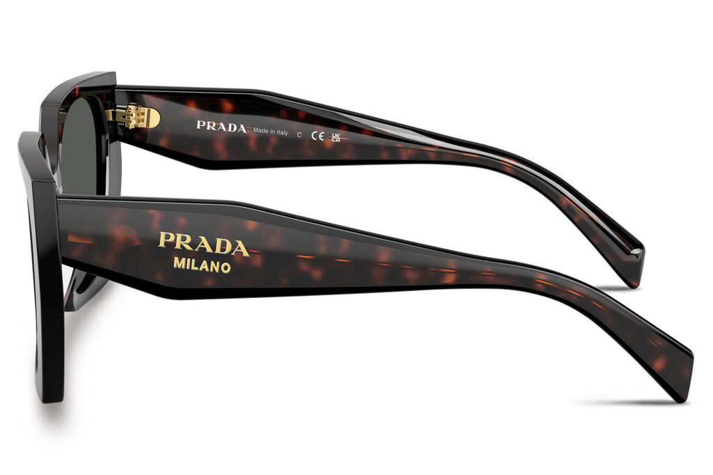 Prada - PR 15WS Sunglasses Root/Black with Dark Grey Lenses (24B40L)