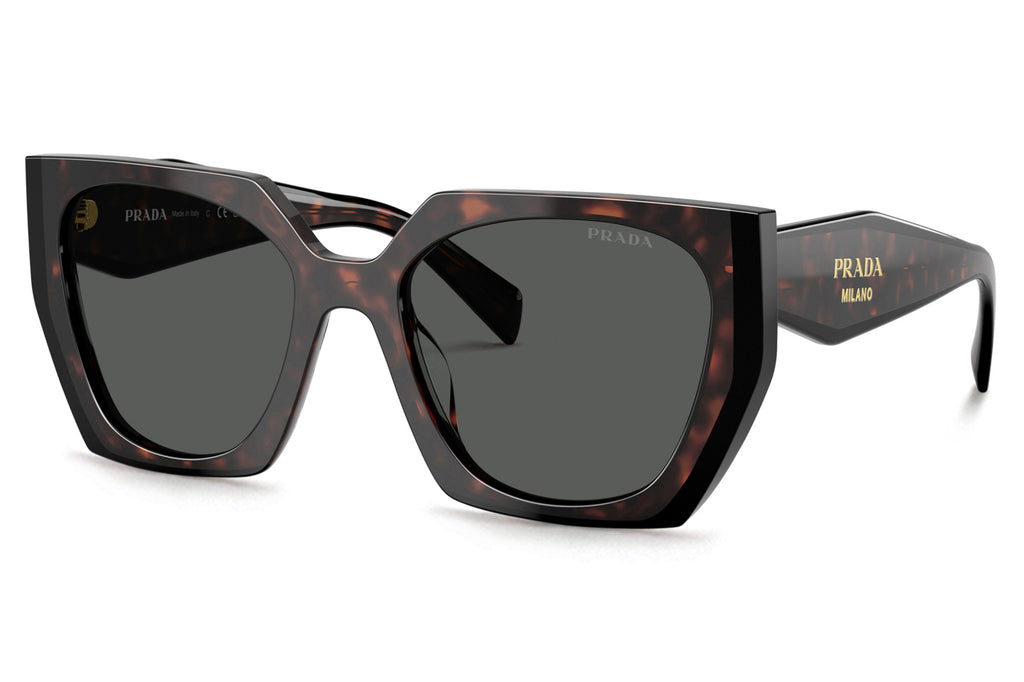 Prada - PR 15WS Sunglasses Root/Black with Dark Grey Lenses (24B40L)