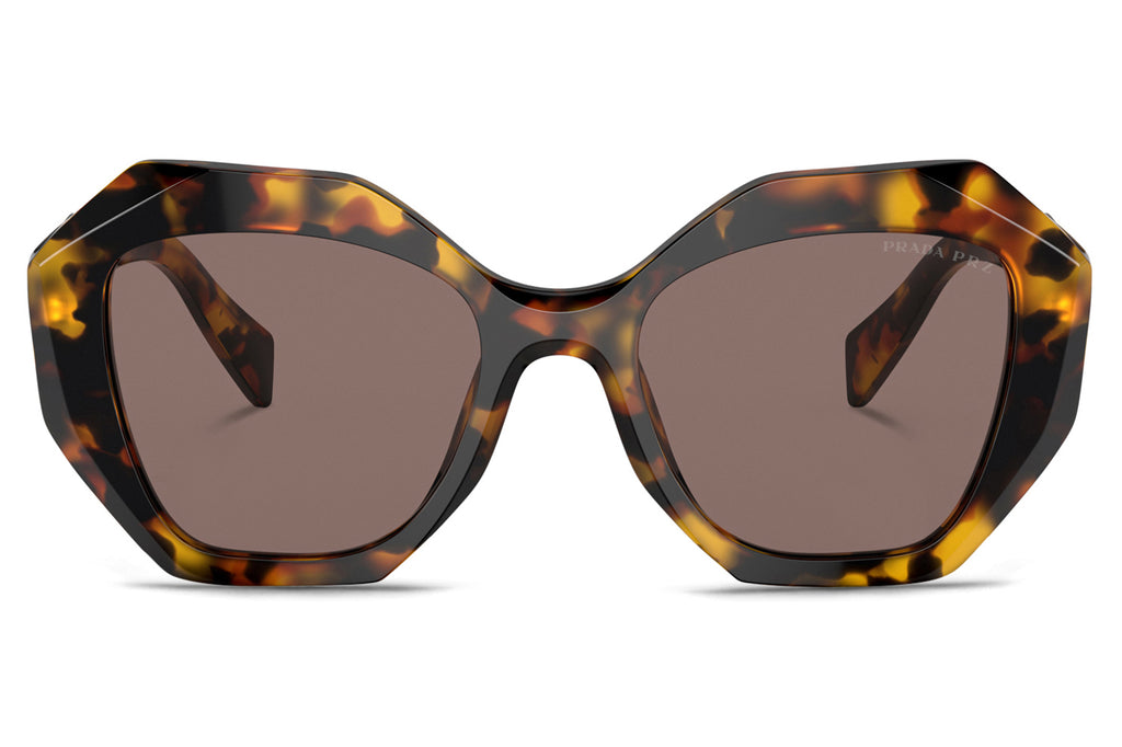 Prada - PR 16WSF (Low Bridge Fit) Sunglasses Honey Tortoise with Light Brown Polar Lenses (VAU05C)