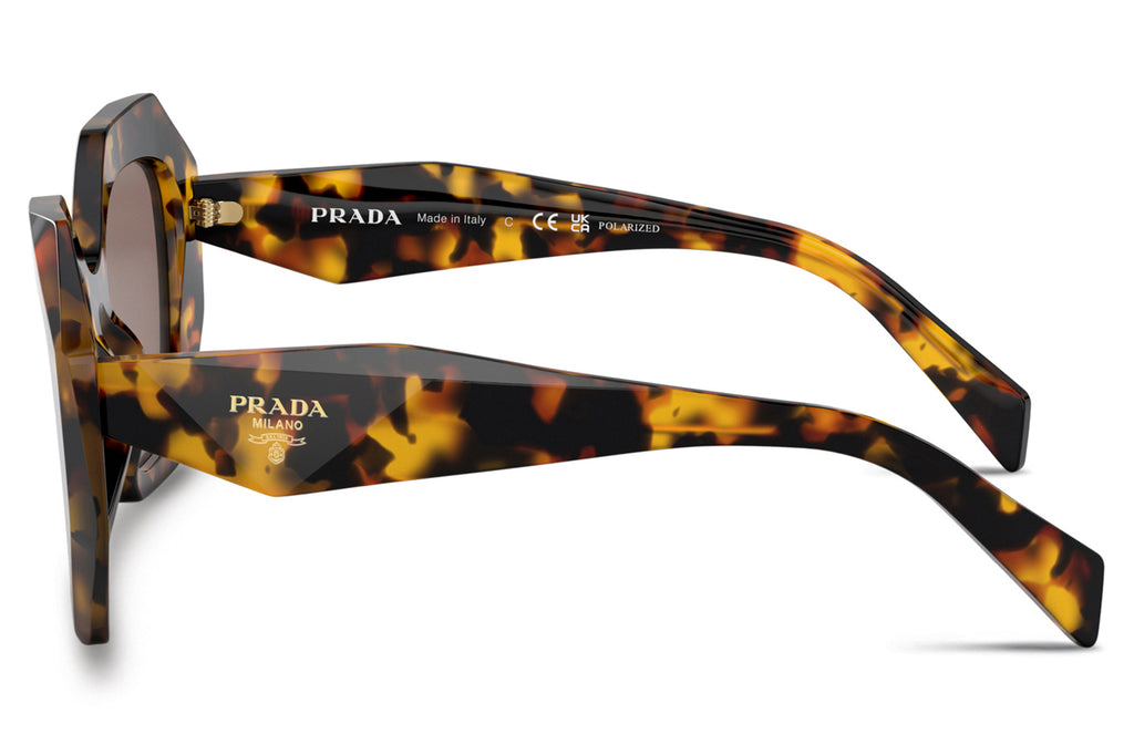 Prada - PR 16WSF (Low Bridge Fit) Sunglasses Honey Tortoise with Light Brown Polar Lenses (VAU05C)