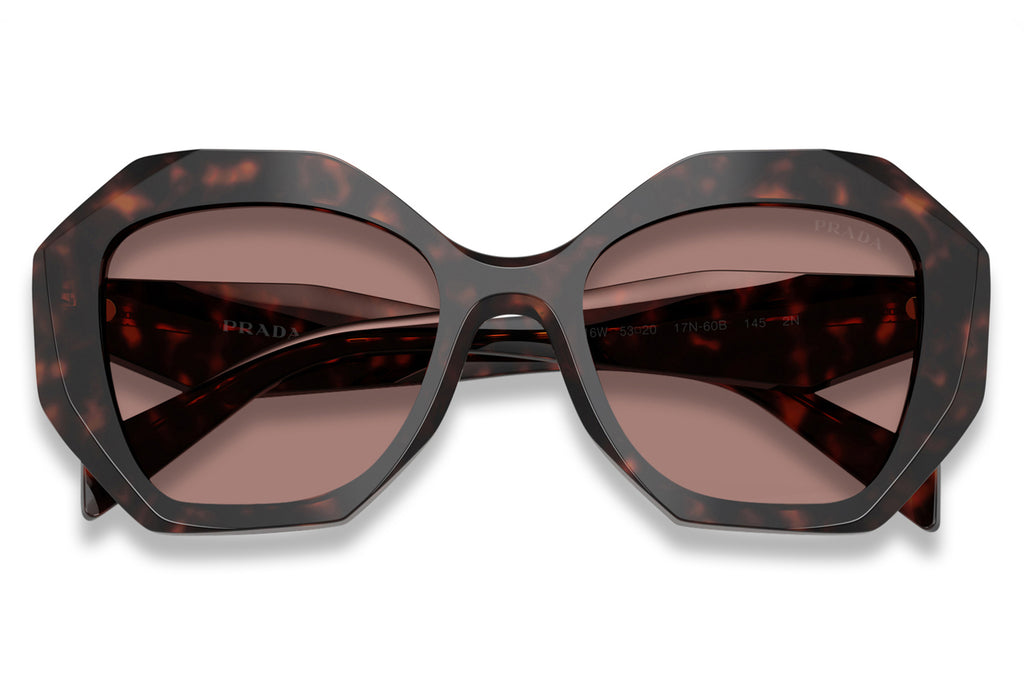 Prada - PR 16WS Sunglasses Root Tortoise with Light Brown Lenses (17N60B)